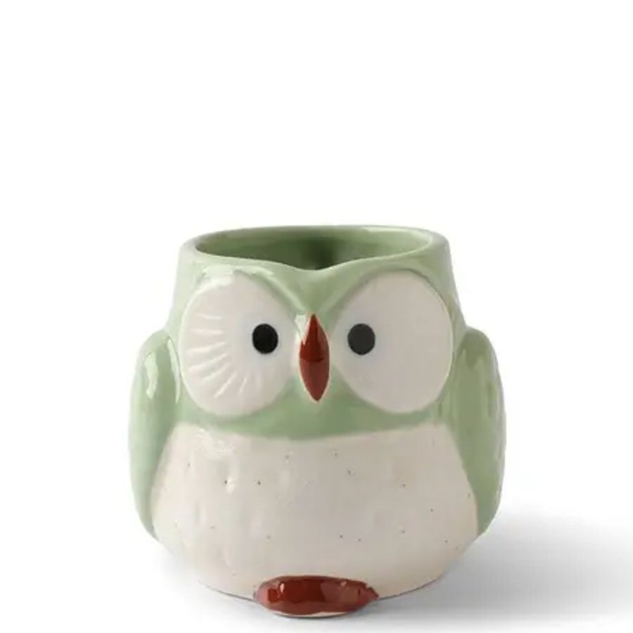 Whimsy Miya Company Cups/Mugs | Mug Owl Green