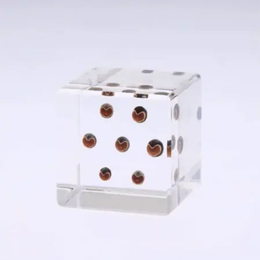 Home Miya Company Desk Accessories | Sola Cube Balloon Plant