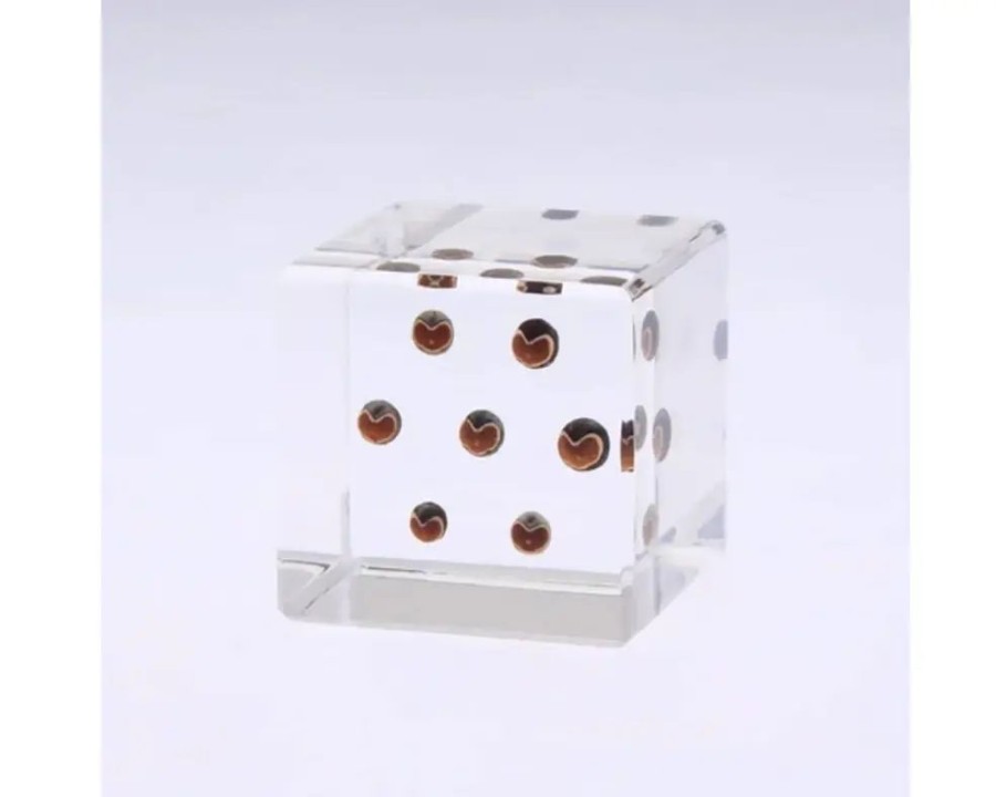 Home Miya Company Desk Accessories | Sola Cube Balloon Plant
