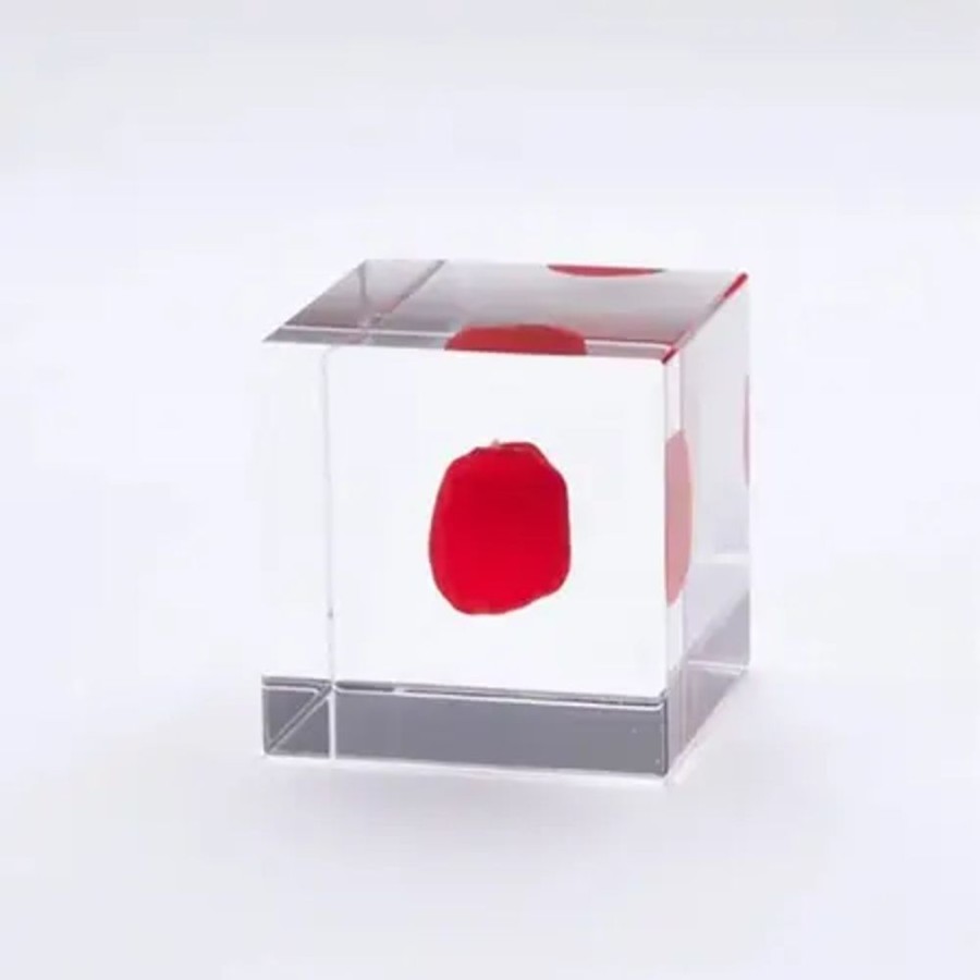Home Miya Company Desk Accessories | Sola Cube Huayruro Seed