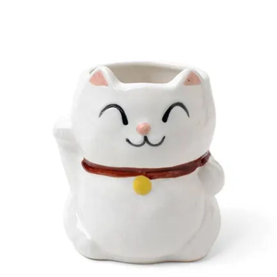 Whimsy Miya Company Cups/Mugs | Mug Cat White